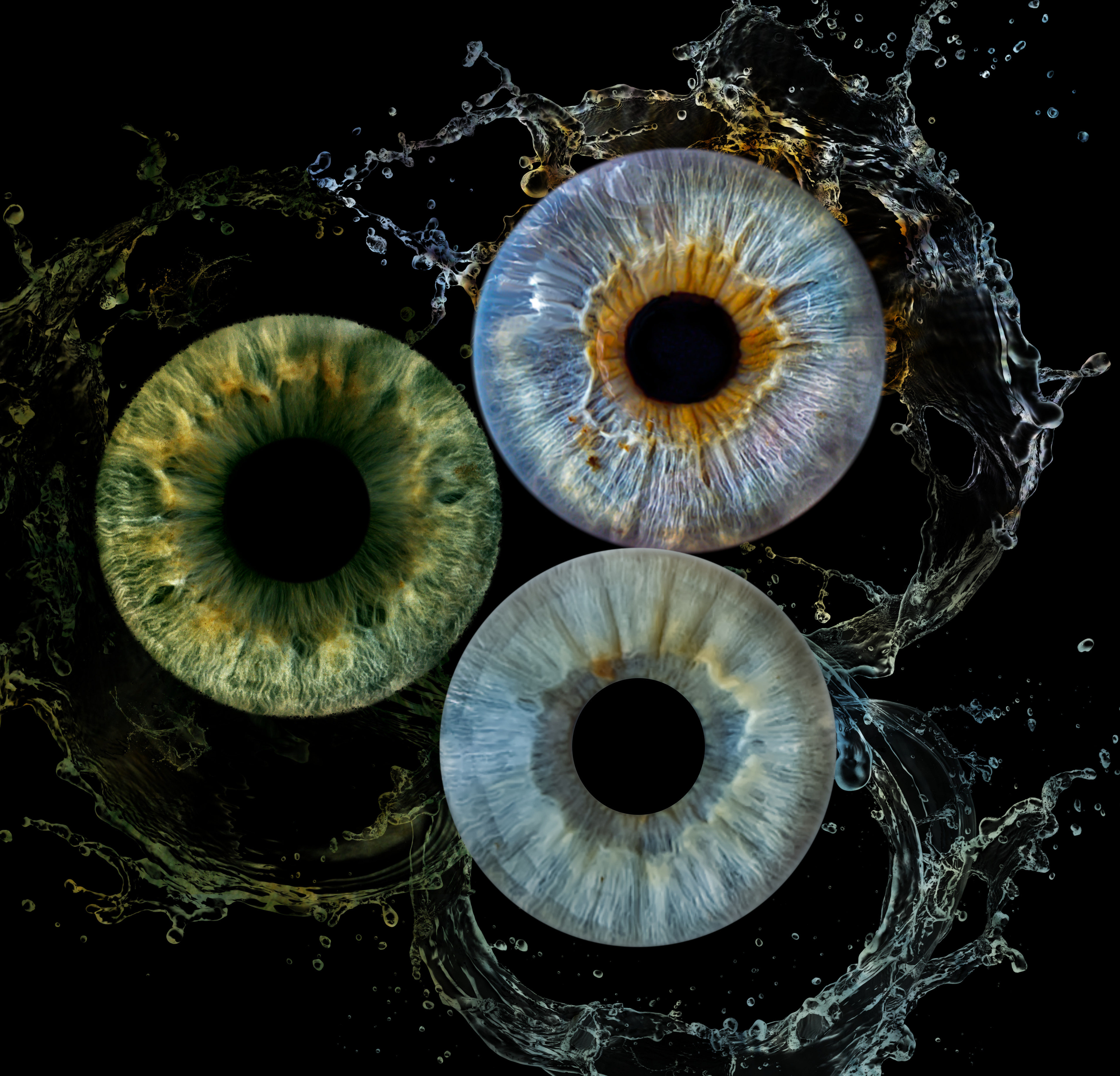 Iris 3